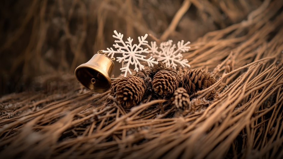 Pesan Natal dari Ladang Gandum