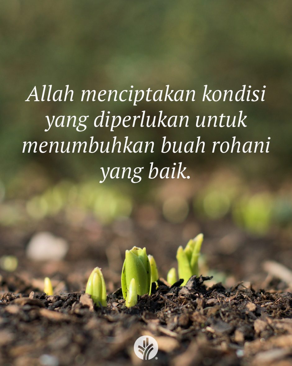 Allah menciptakan kondisi yang diperlukan untuk menumbuhkan buah rohani yang baik. Allah menciptakan kondisi yang diperlukan untuk menumbuhkan buah rohani yang baik.